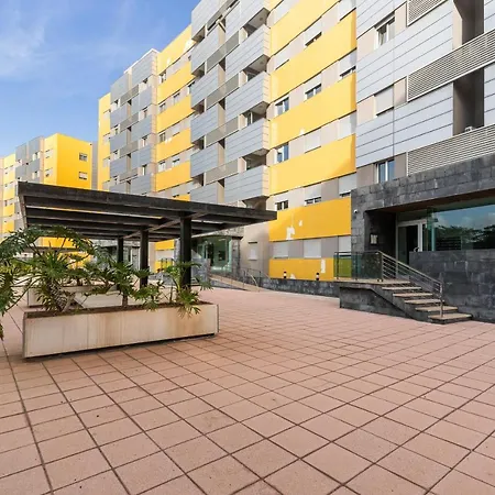Lejlighed Home2book Urban Terrace With Pool, Palmas