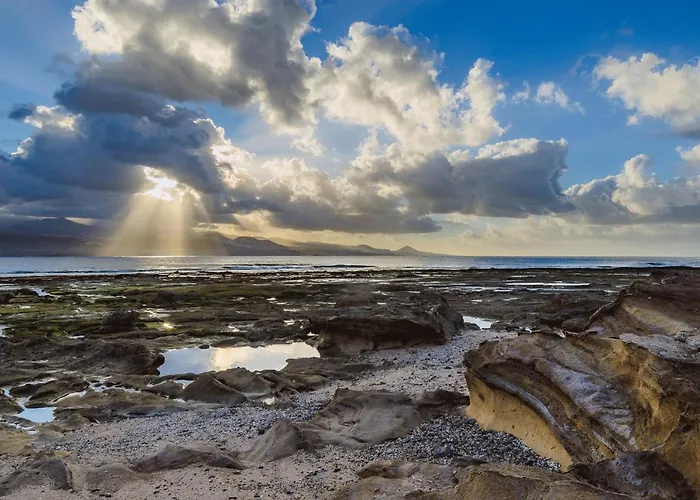 Home2book Urban Terrace With Pool, Palmas